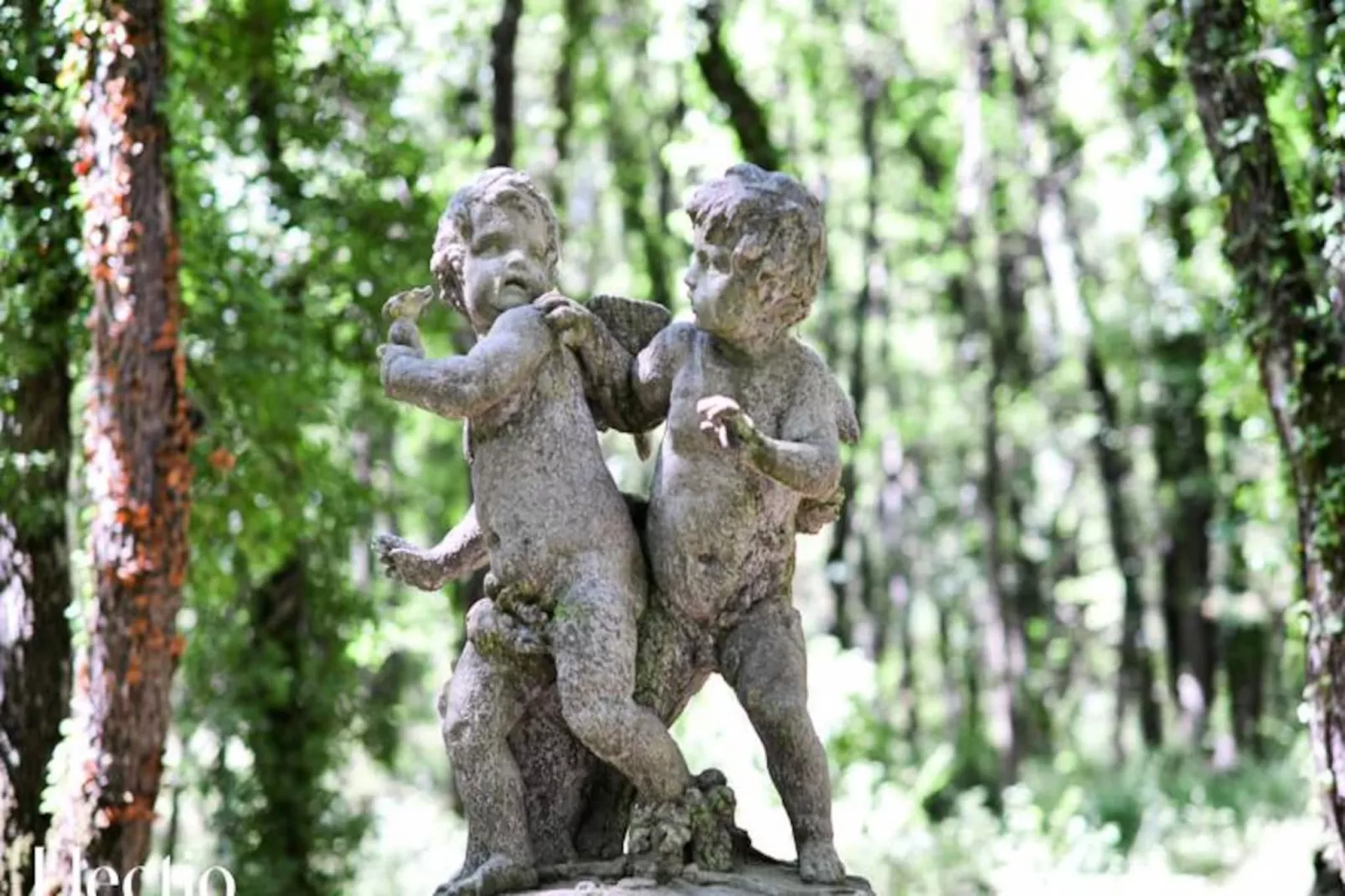 Petite Bastide | Domaine Tour Campanets-Image-tags.