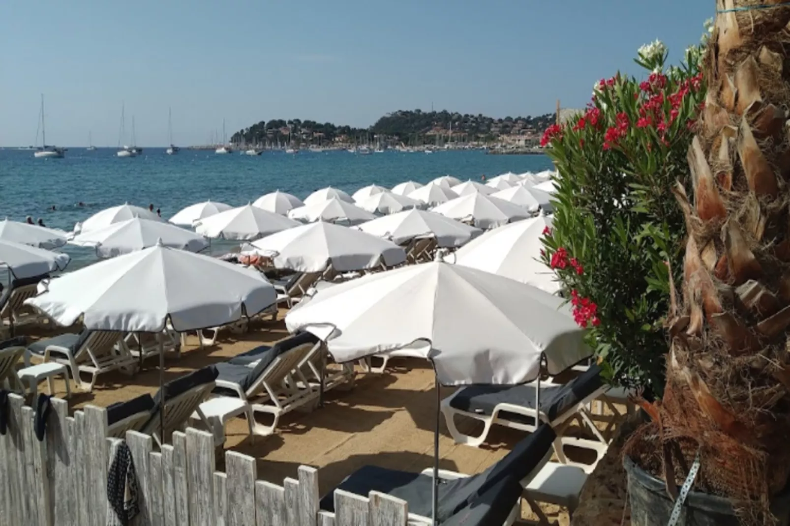 Résidence Porto Piano-Areas within 5km in summer