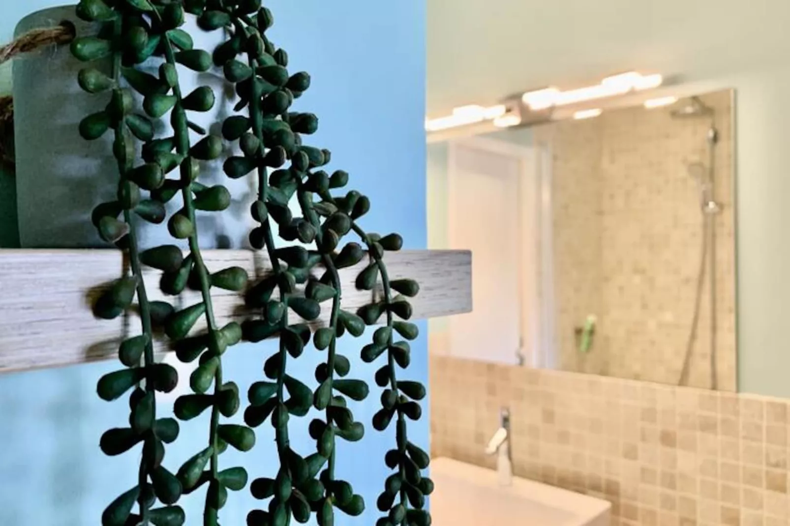 | La Perle🧿| Hypercentre| R&eacute;nov&eacute;-Image-tags.