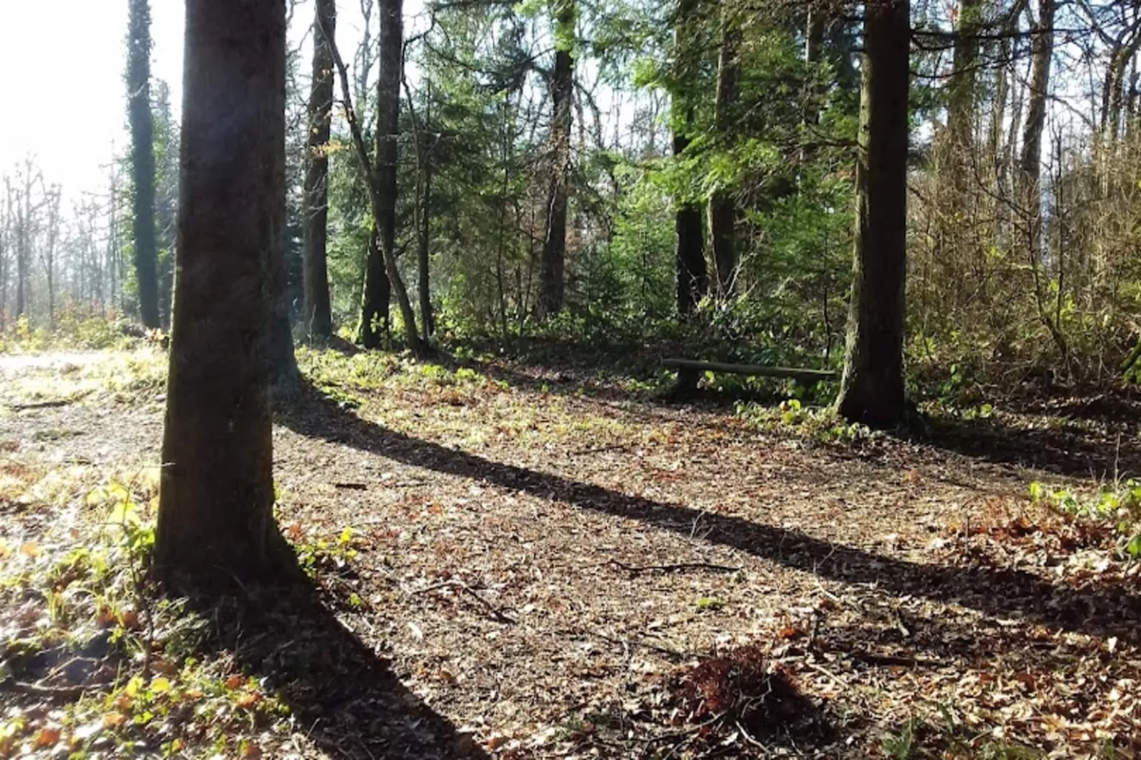 Résidence Montcalm D-Gebiete Sommer 5 km