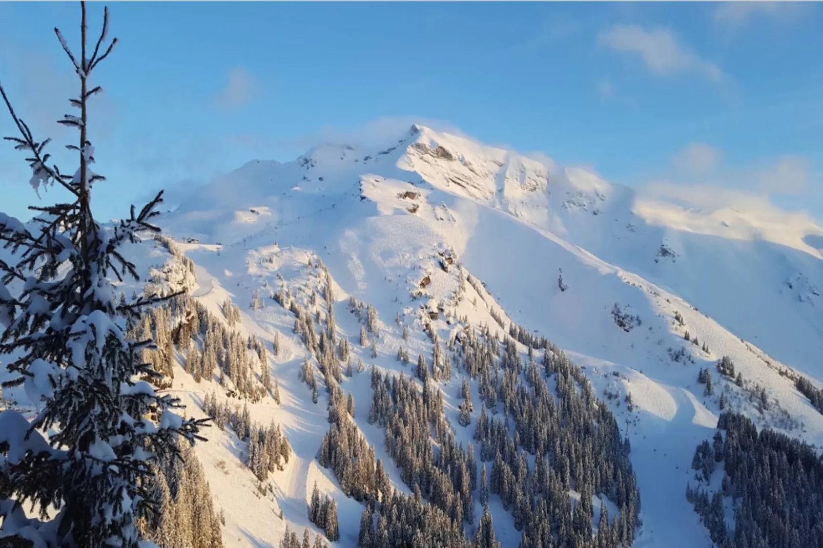 Résidence Quartier Falaise - maeva Home-Gebiet Winter 5 km