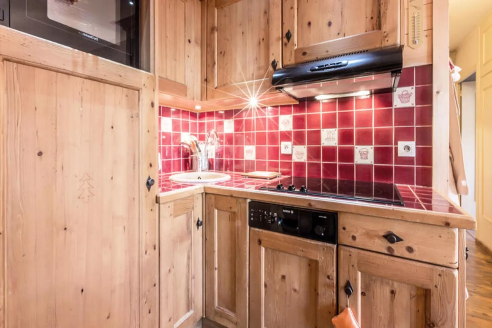 Résidence Viking-Extérieur été