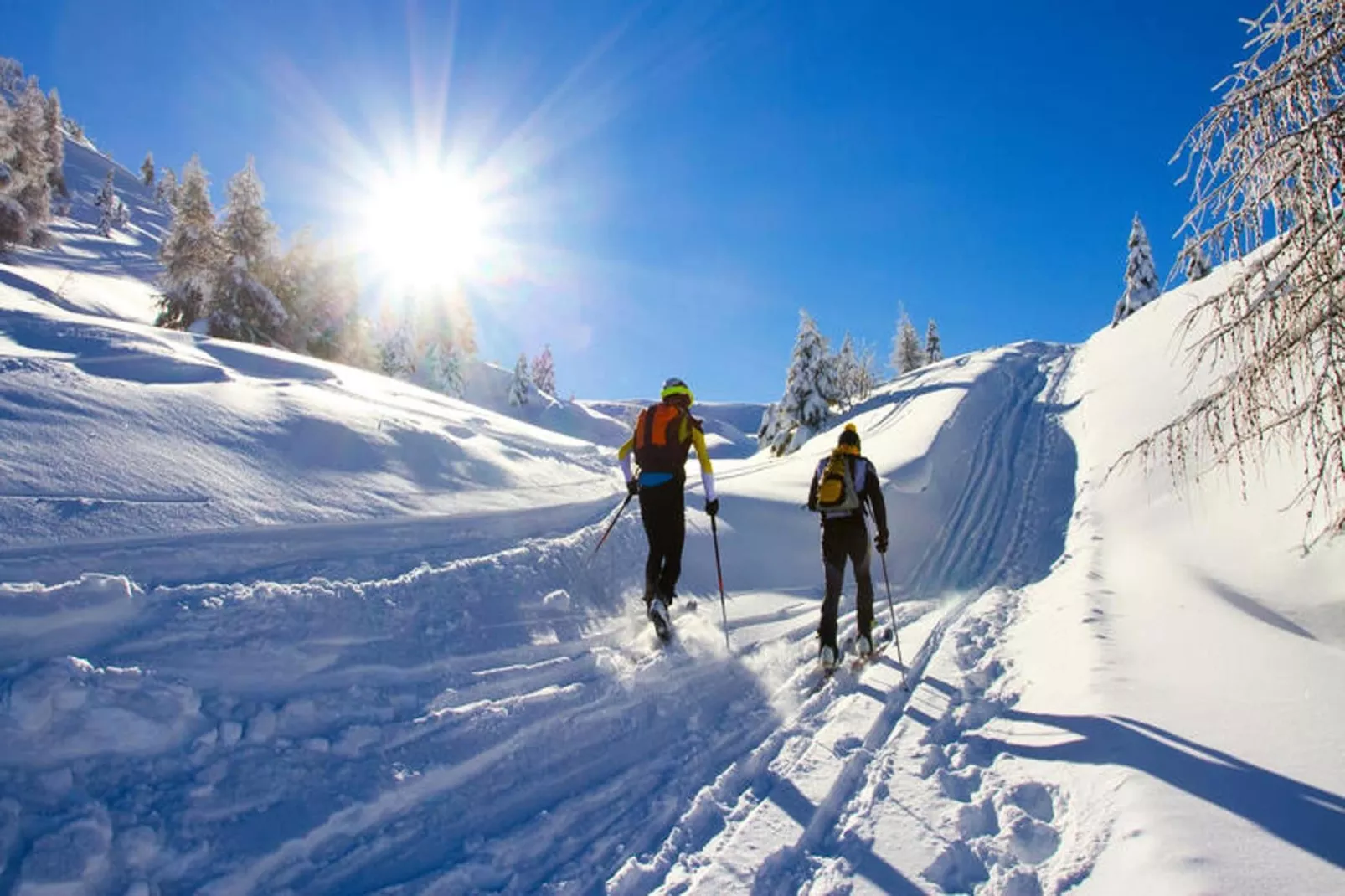 Appartements à Saint Jean d'Aulps-Gebiet Winter 5 km