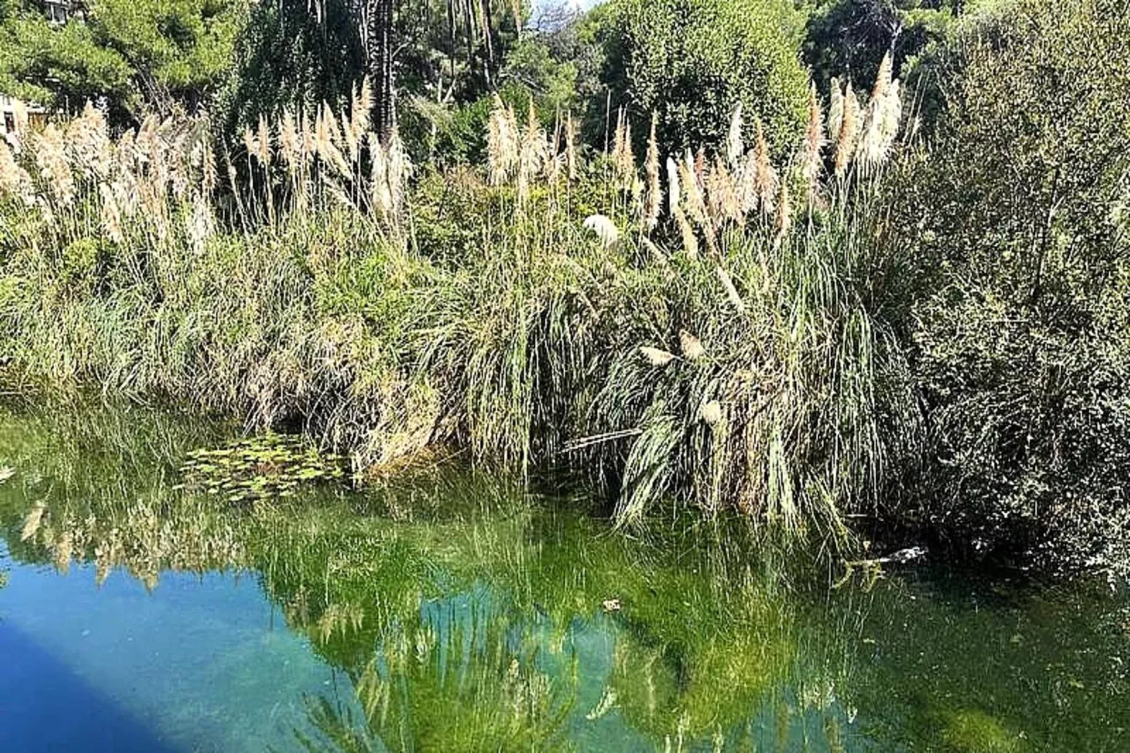 Résidence Rivages-Bien-être