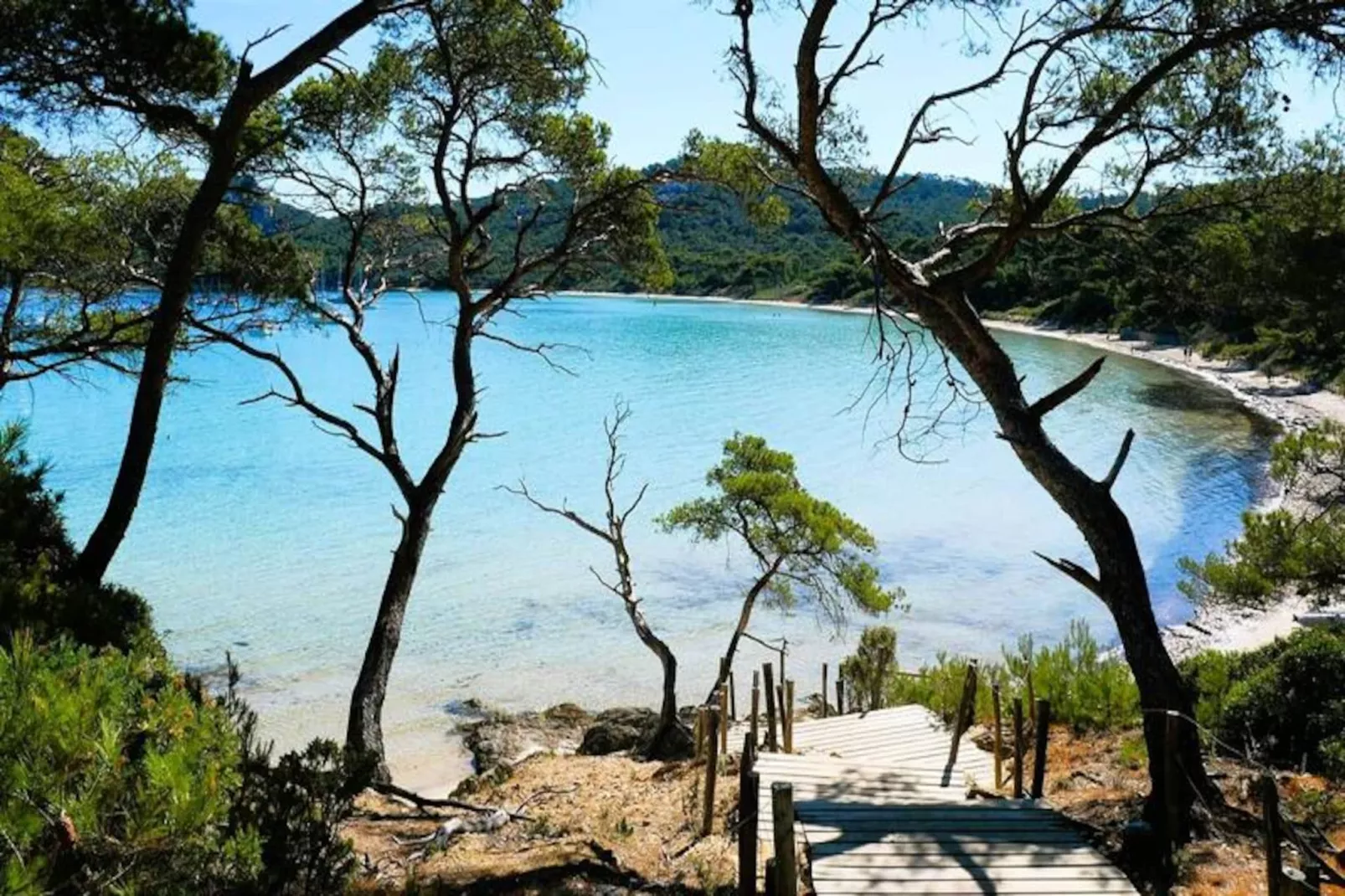 Résidence Villa Paloma-la Londe Les Maures-Image-tags.