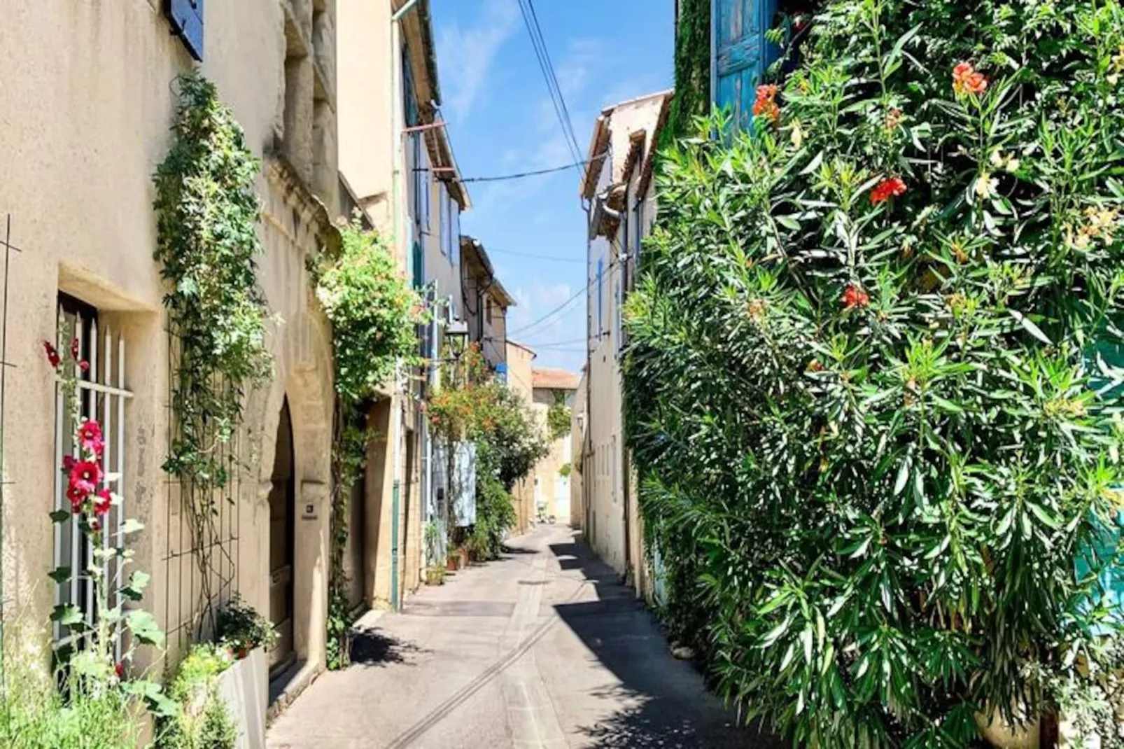 Appartement L&rsquo;hirondelle | Les Nids De La Diane-Image-tags.