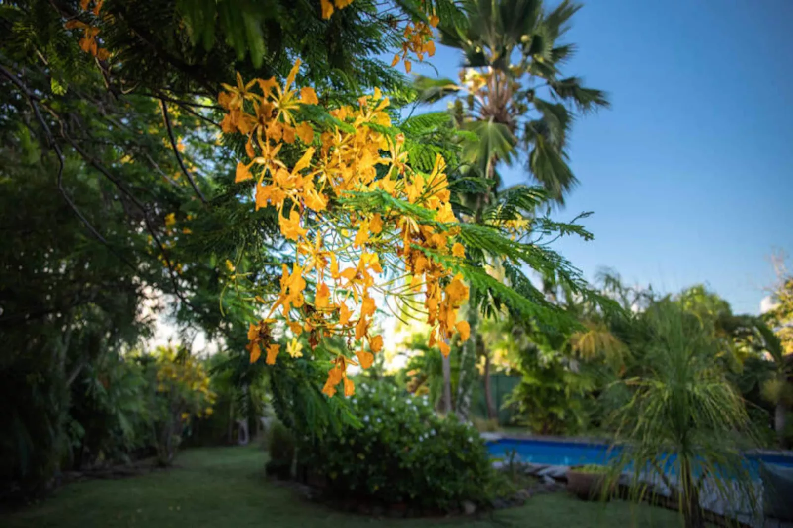 Villa Sereine-Image-tags.