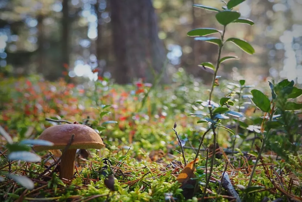 241000-Nicht zugeordnet