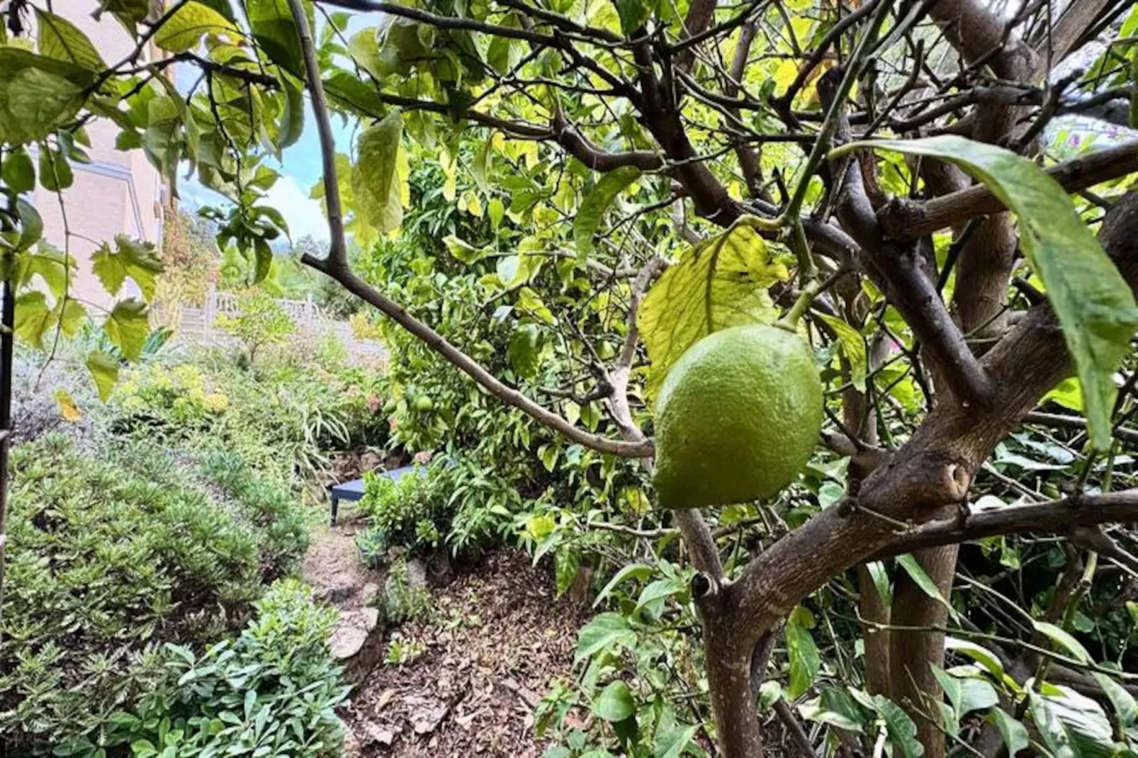 Résidence Dej001-propriano-Image-tags.