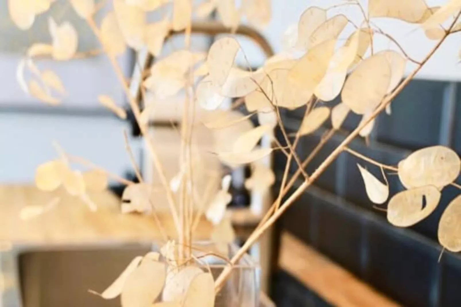 Home Chic Home - Les Suites De La Com&eacute;die - Suite2-Image-tags.