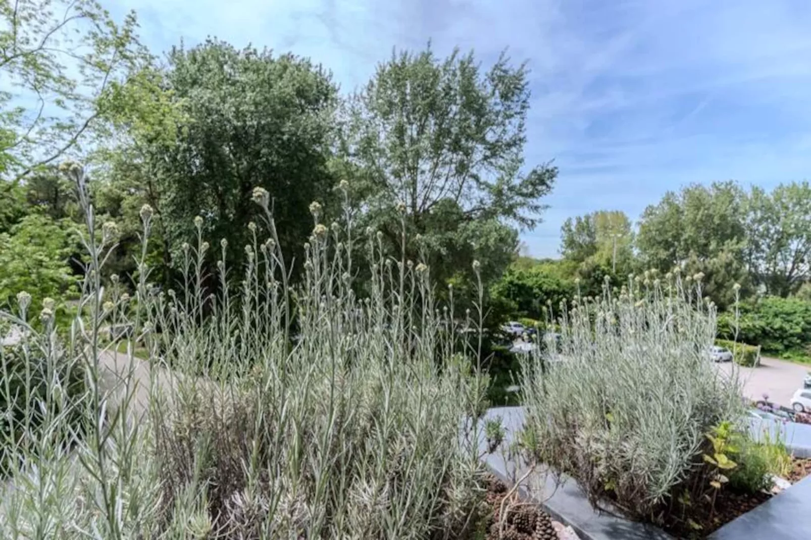 Résidence Tr&egrave;s Bel Appartement Pour 5 Pers Au Coeur Du Parc &eacute;questre Du Touquet.-Image-tags.