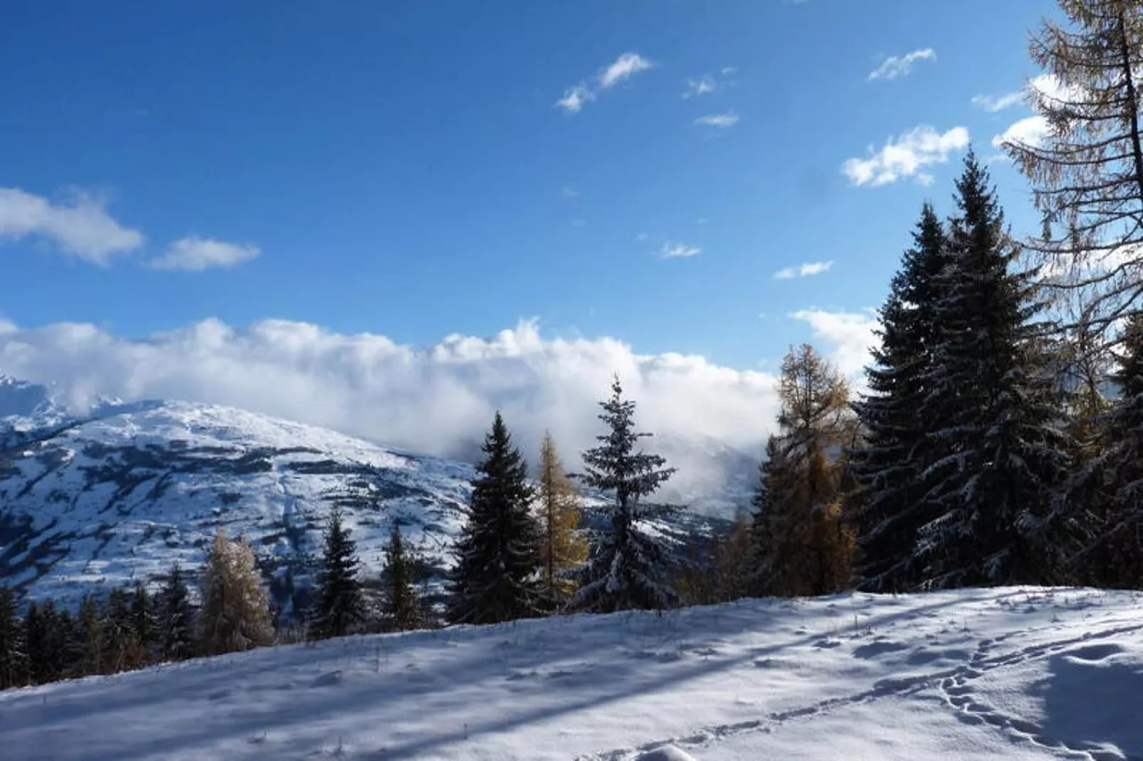 Résidence Bequi-rouge - Area within 5km in winter