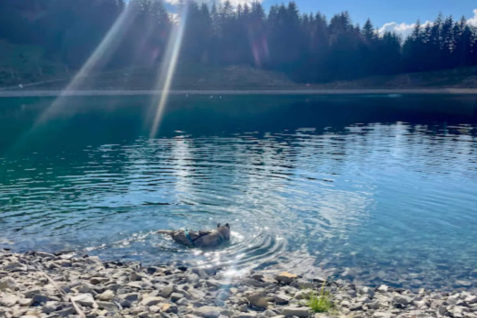 Résidence Mont-fernuy-Gebiete Sommer 5 km