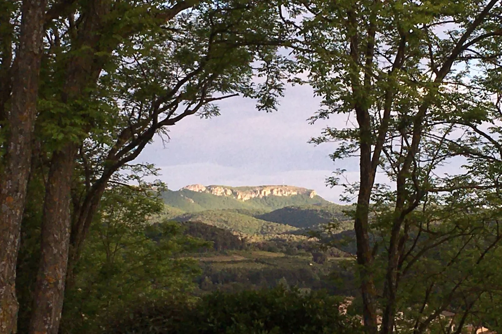 Villa Rose-View summer