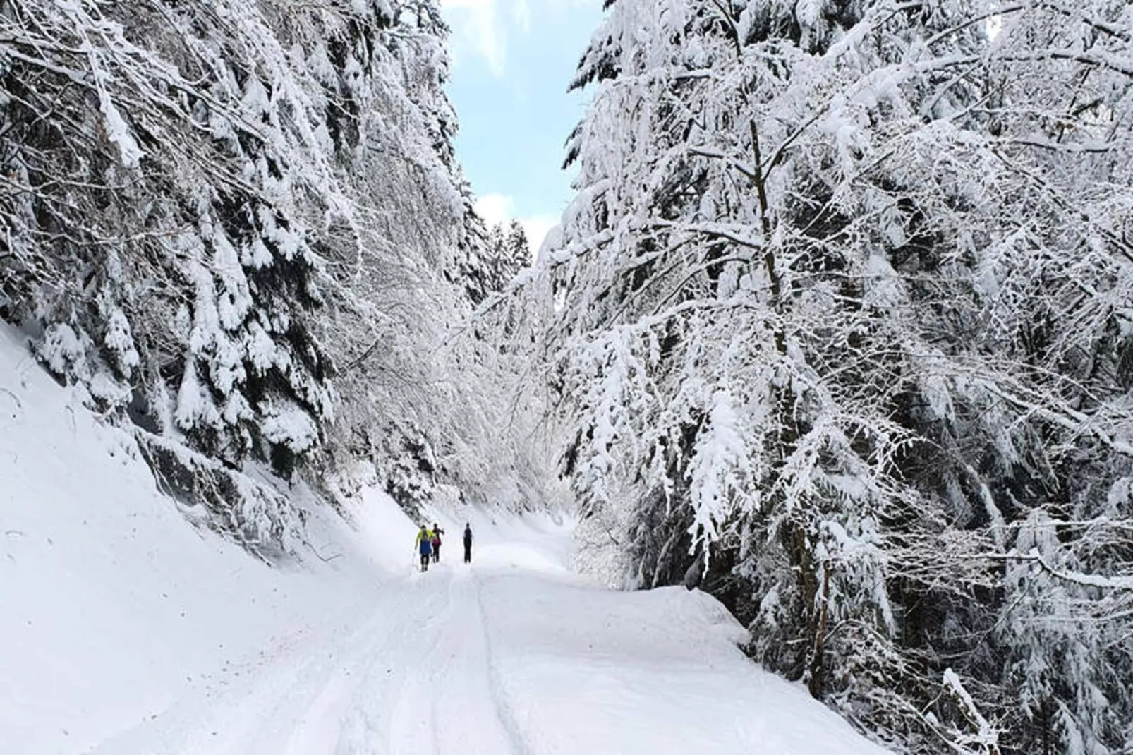 Appartements à Saint Jean d'Aulps-Gebiet Winter 5 km
