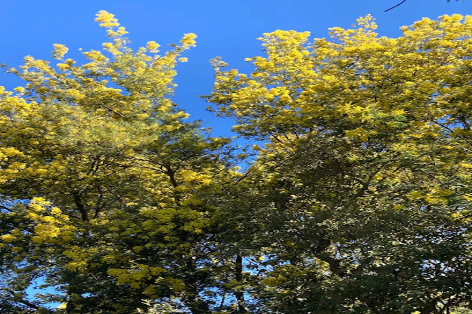 Résidence Vieille Ville-Gebiete Sommer 1 km