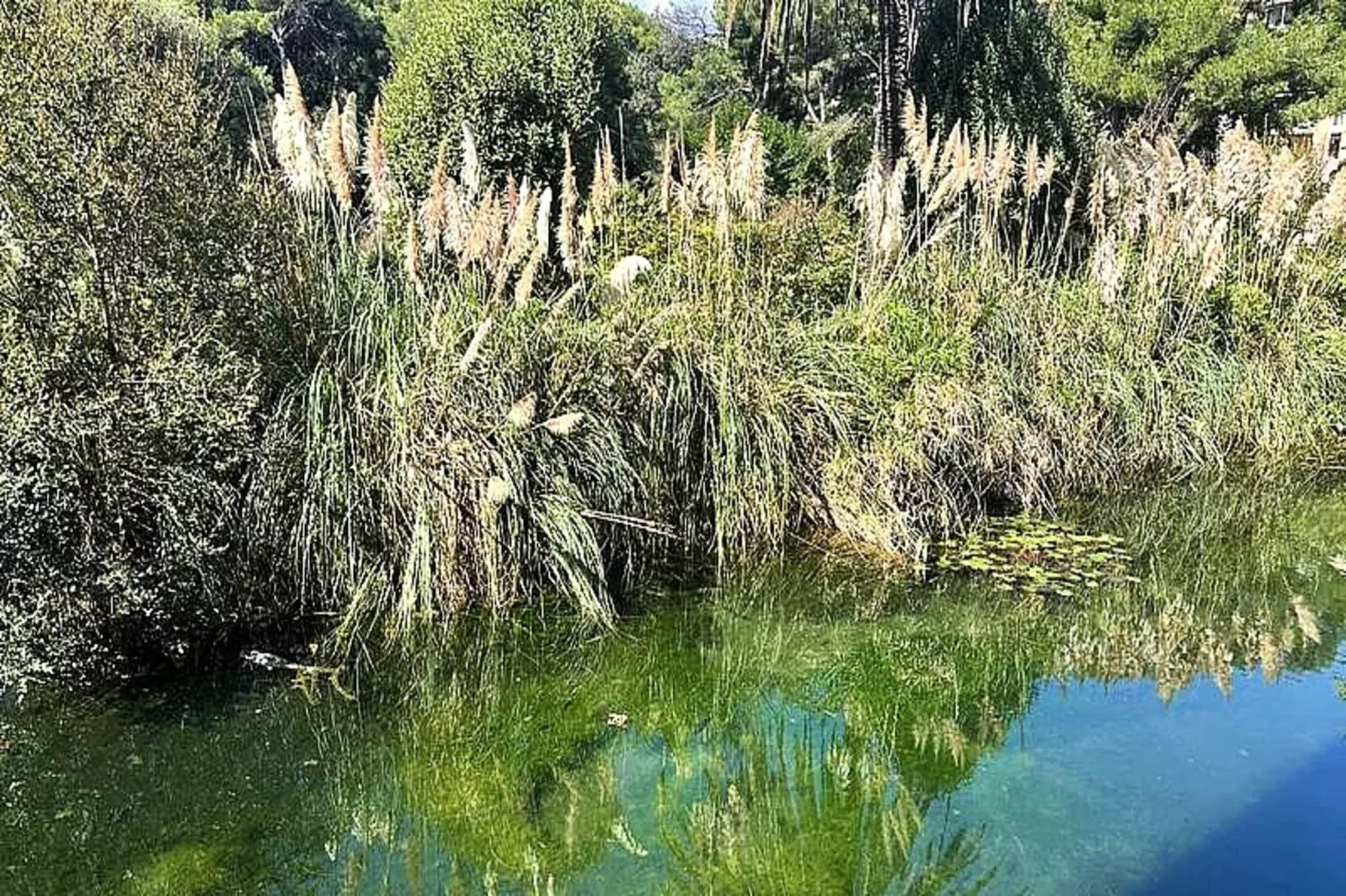 Résidence Rivages-Bien-être