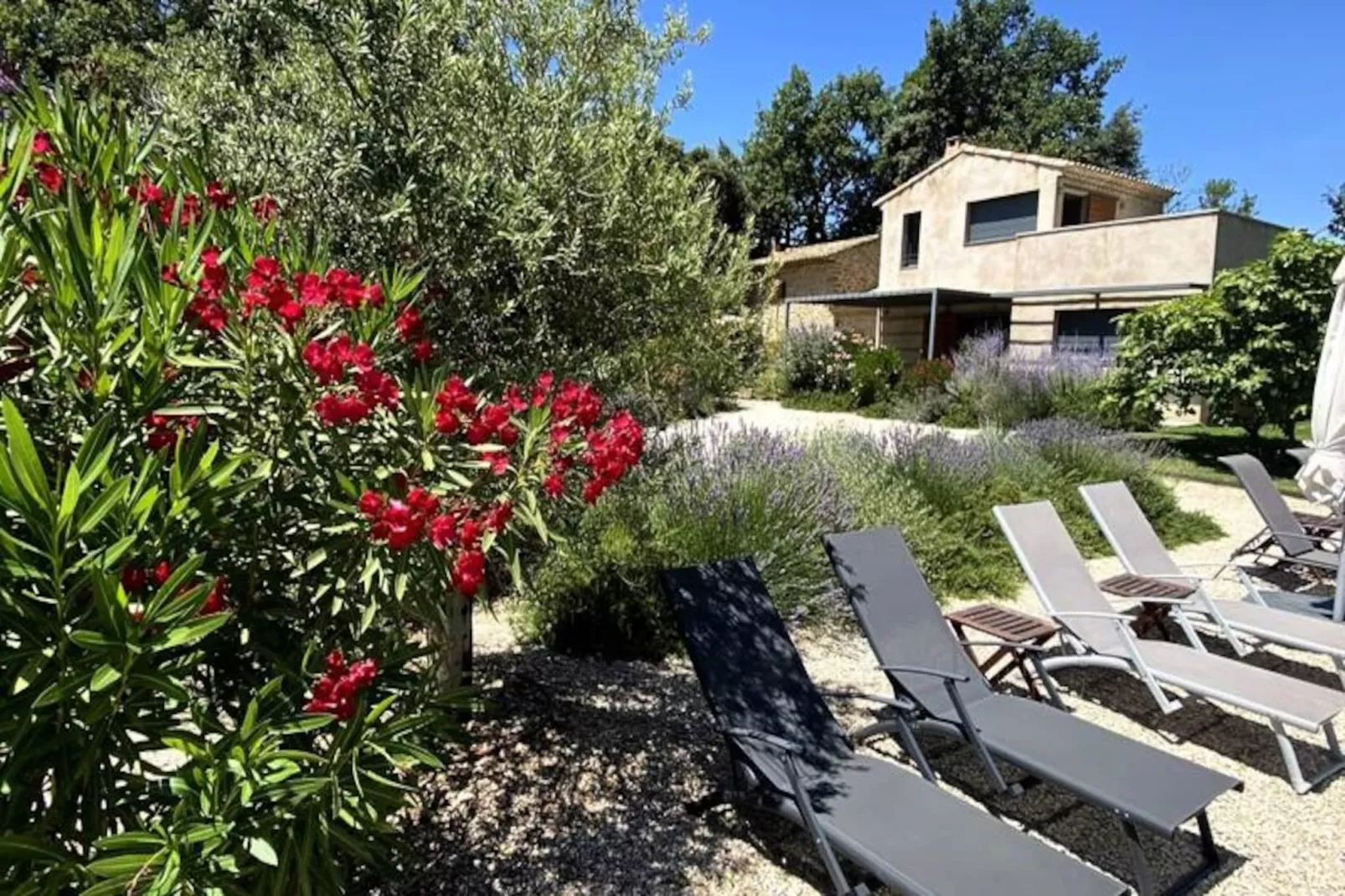 Vivez L'authenticit&eacute; &agrave; La Maison "au Pied Des Vignes"-Image-tags.