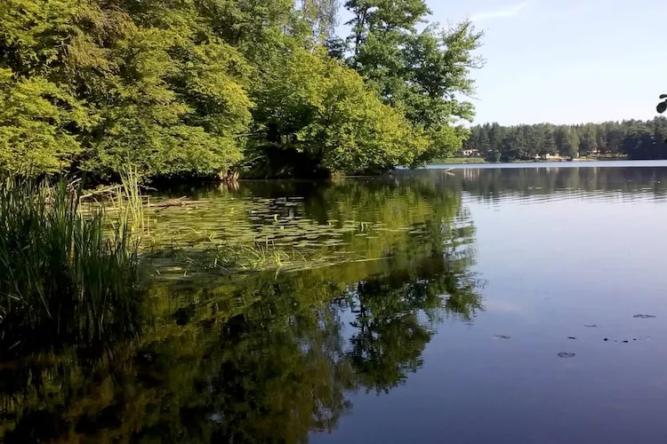 Dom wakacyjny w Krzyni dla max 5 osób-Gebiete Sommer 1 km