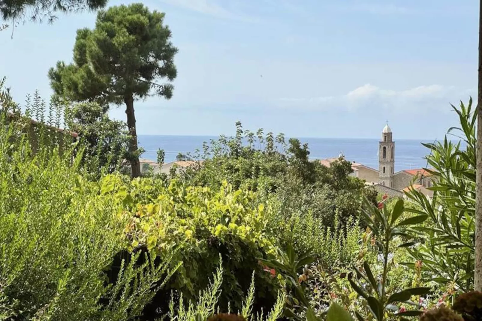 Résidence Dej001-propriano-Image-tags.