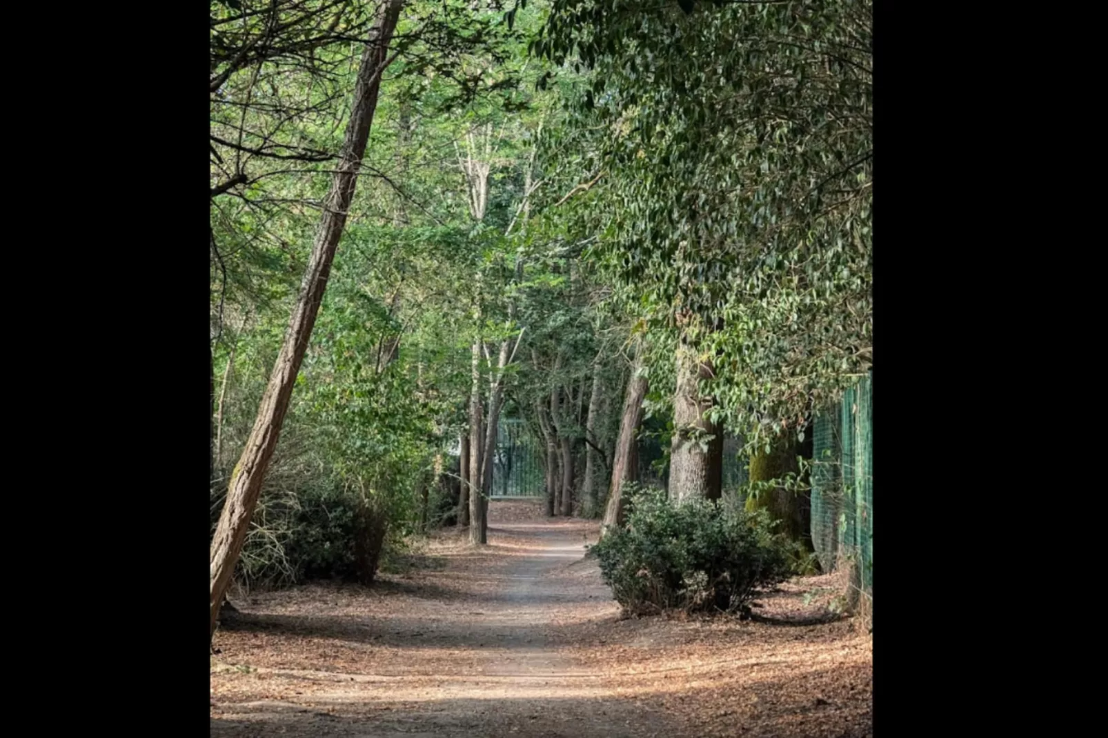 Néméa Appart'Hôtel Toulouse Saint Martin***-Außenbereich Sommer