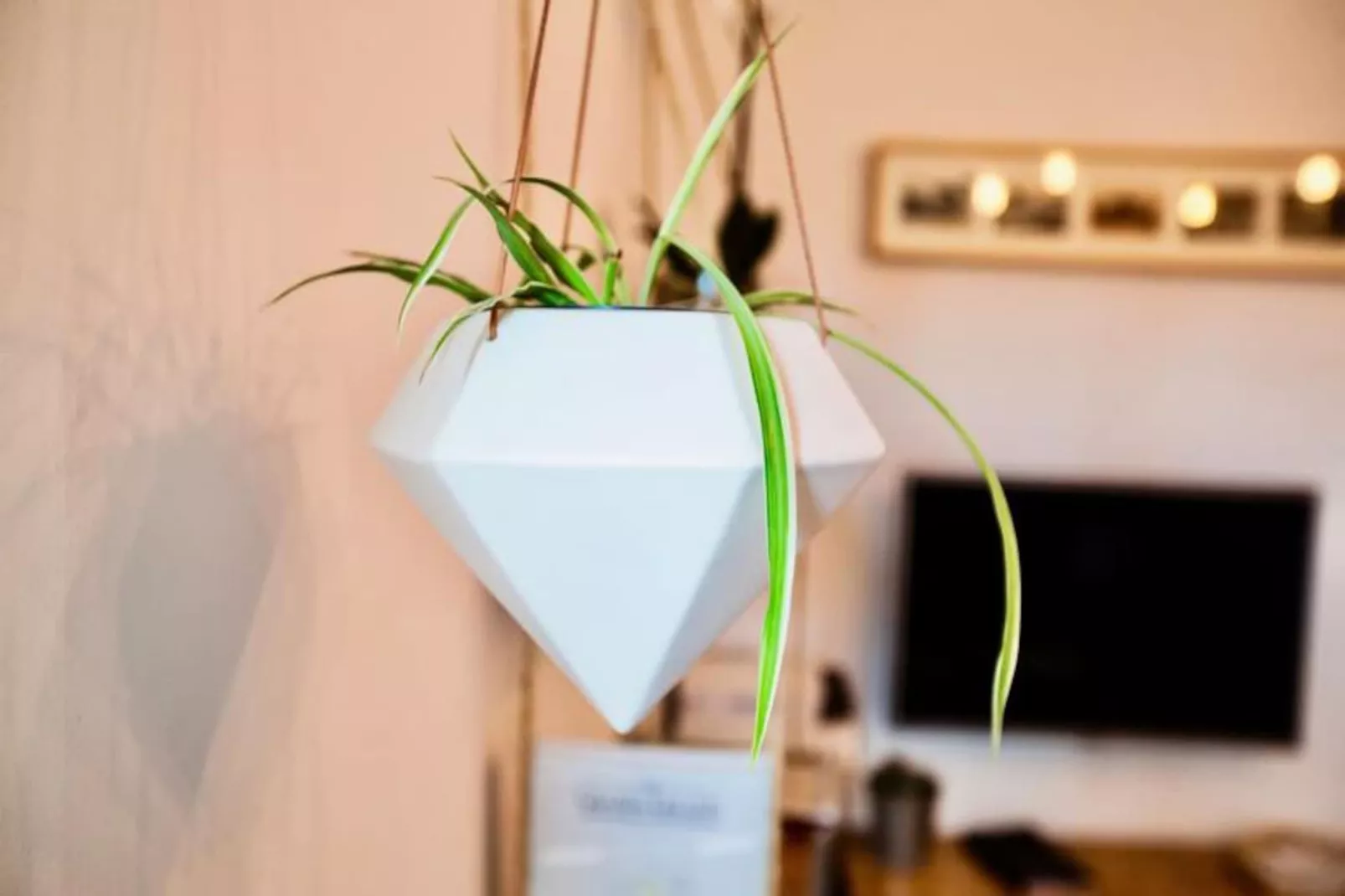 Les Toits De L'argenterie-Image-tags.