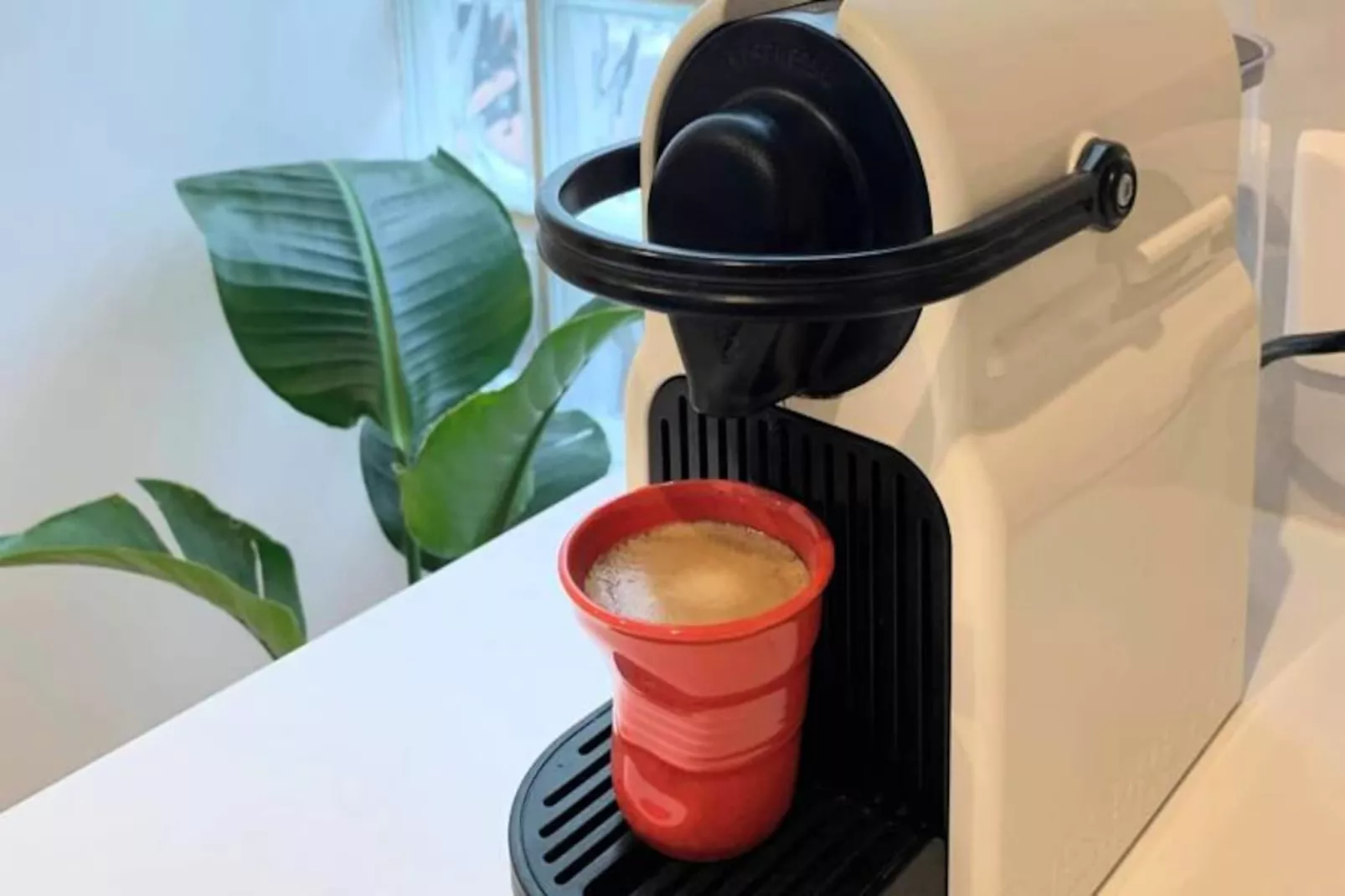 La Terrasse Bazille-Image-tags.