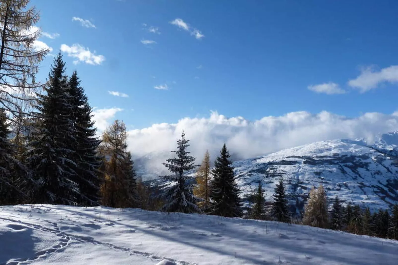 Résidence Bequi-rouge - Area within 5km in winter