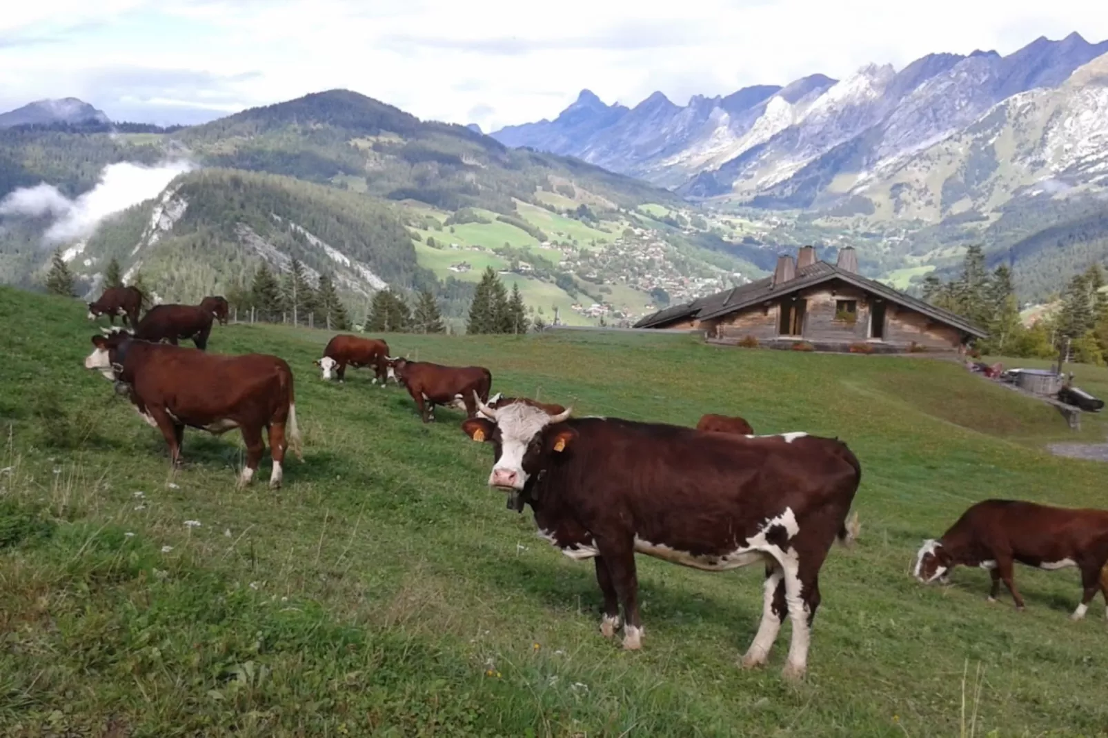 Chalet Bethanie-Gebiet Winter 5 km