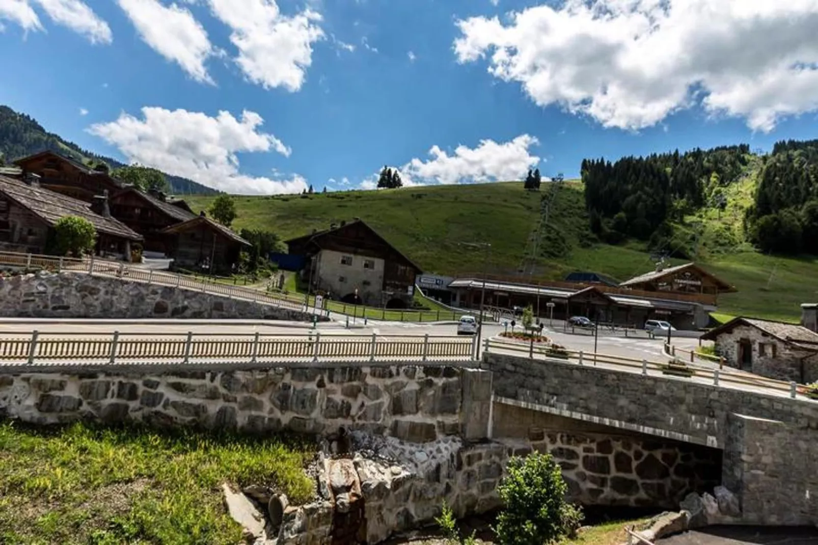Résidence Bossonnet-Areas within 1km in summer