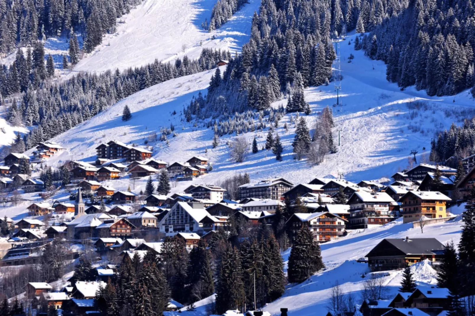 Résidence Les Balcons De Chatel-Area within 20km in winter