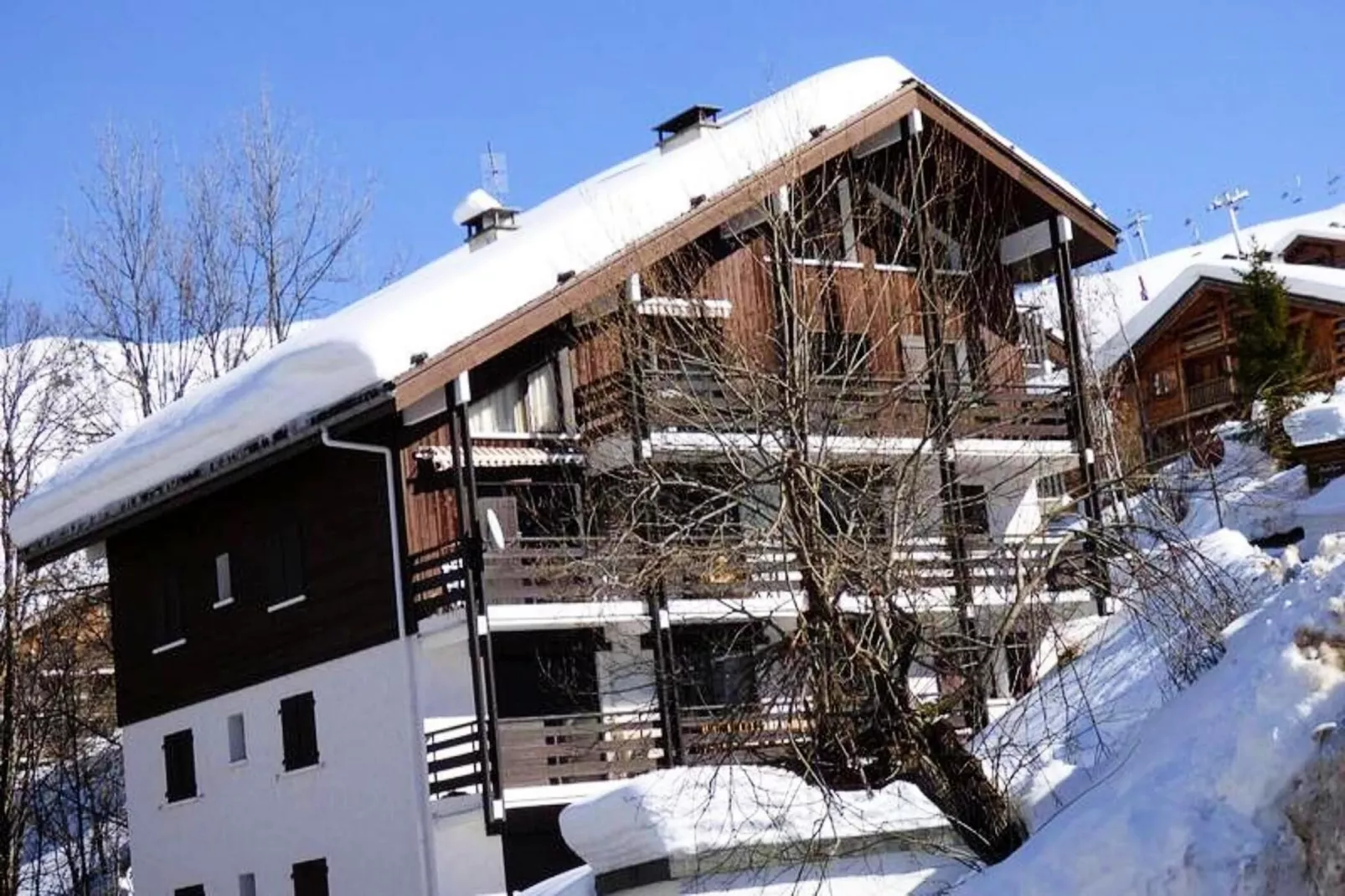 Résidence Piste Bleue-Ambiance