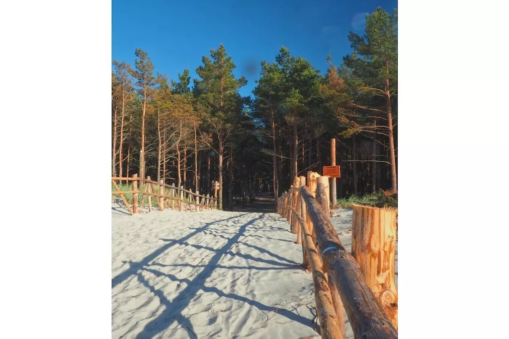 241000-Nicht zugeordnet