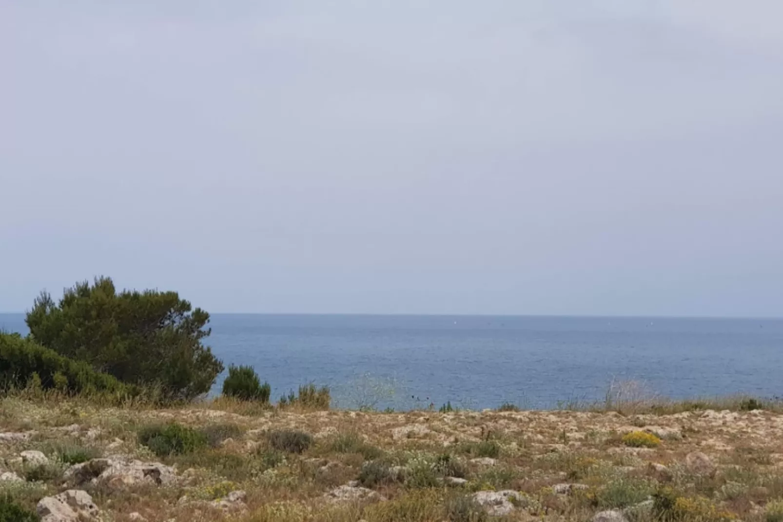 Résidence Le Constellation-Areas within 5km in summer