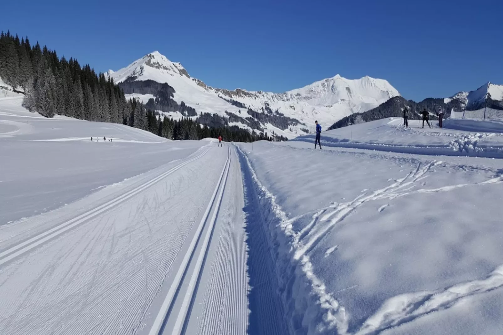 Résidence Samoyede-Zones hiver à 1 km