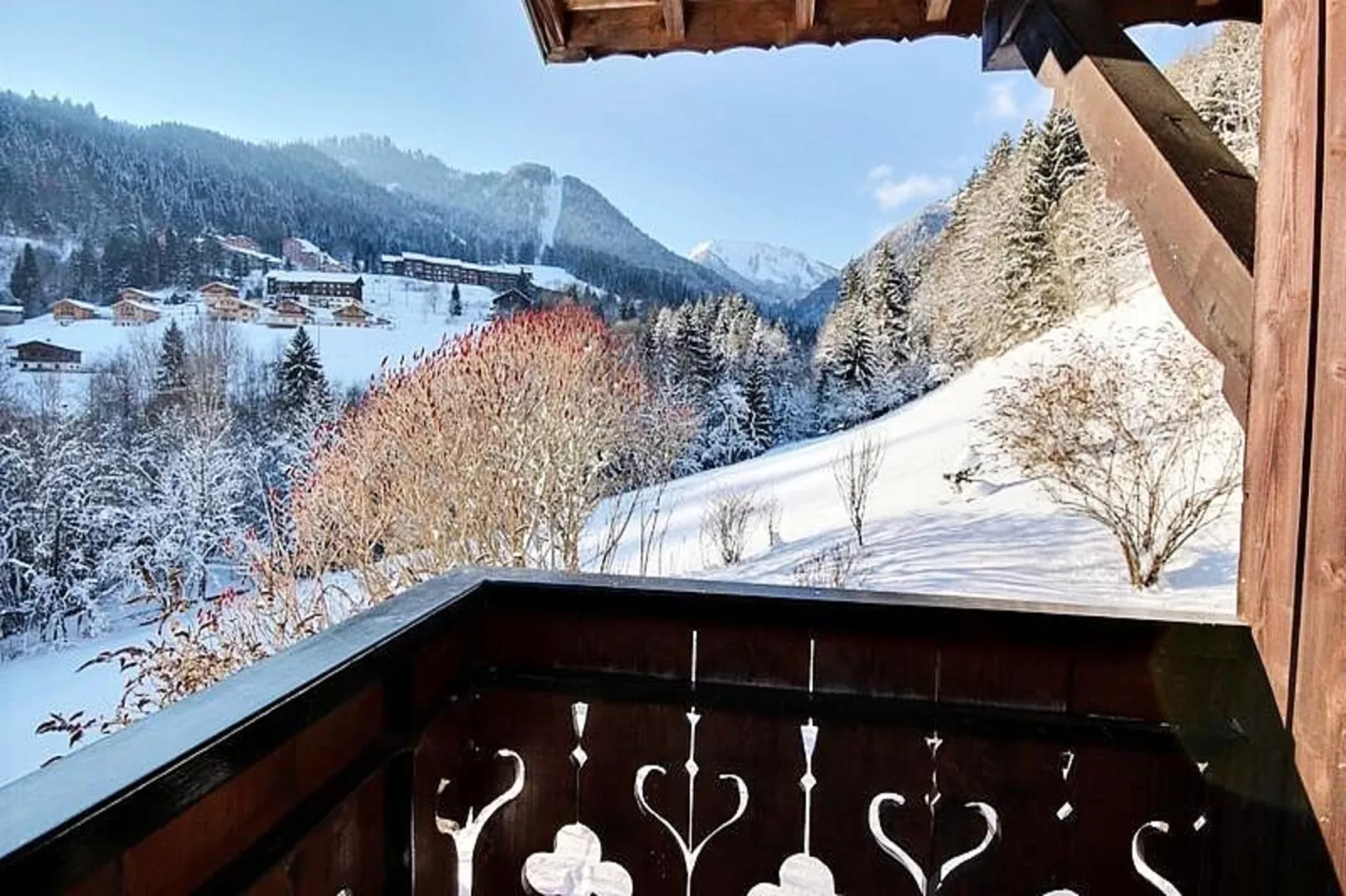 Chalets à Saint Jean d'Aulps-Vue d'hiver
