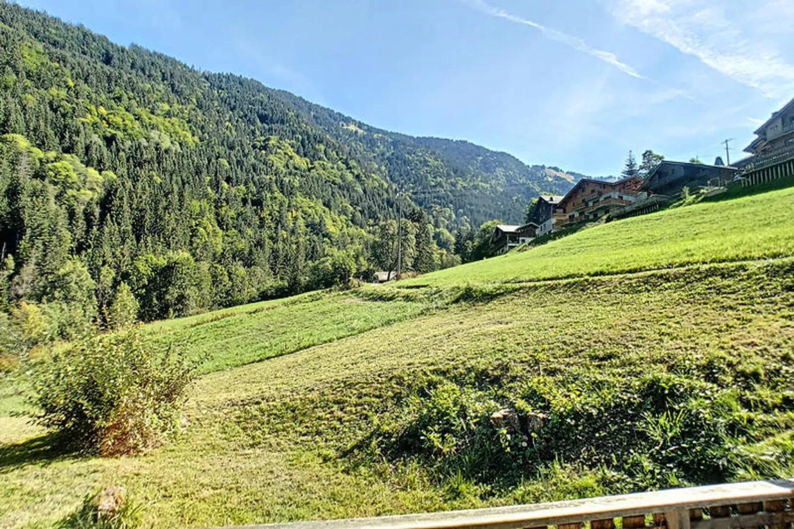 Appartements à Saint Jean d'Aulps-Areas within 1km in summer