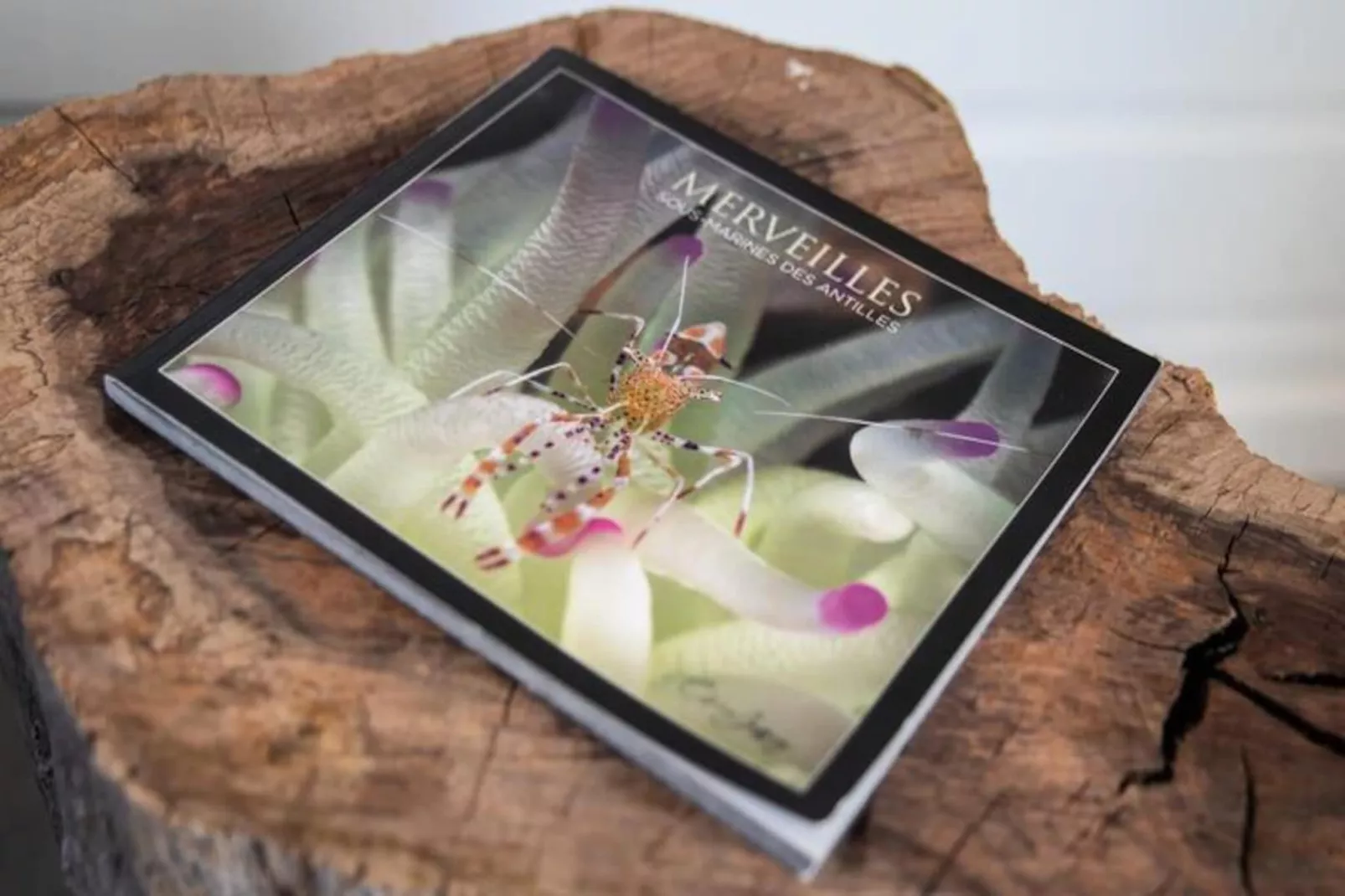 Villa Rackam-Image-tags.