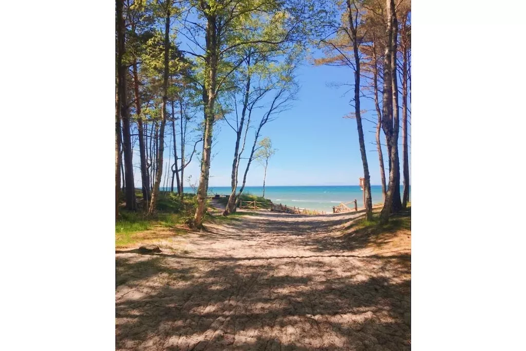 241000-Nicht zugeordnet