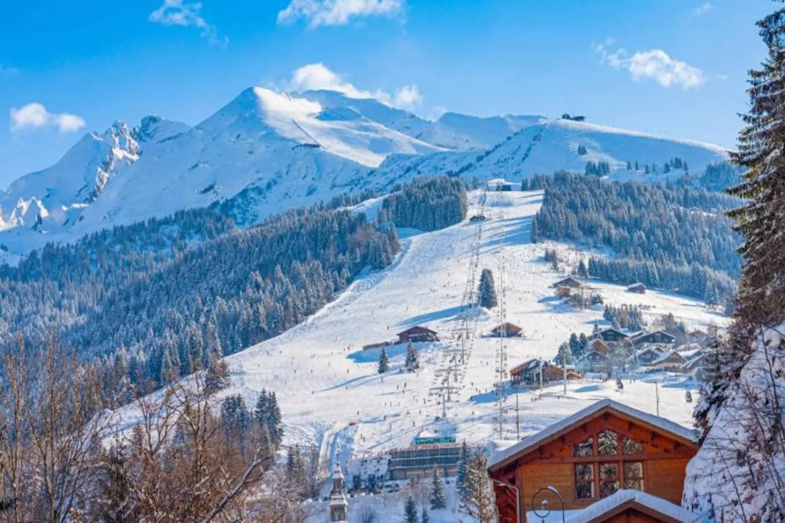Résidence Bossonnet-Area within 5km in winter