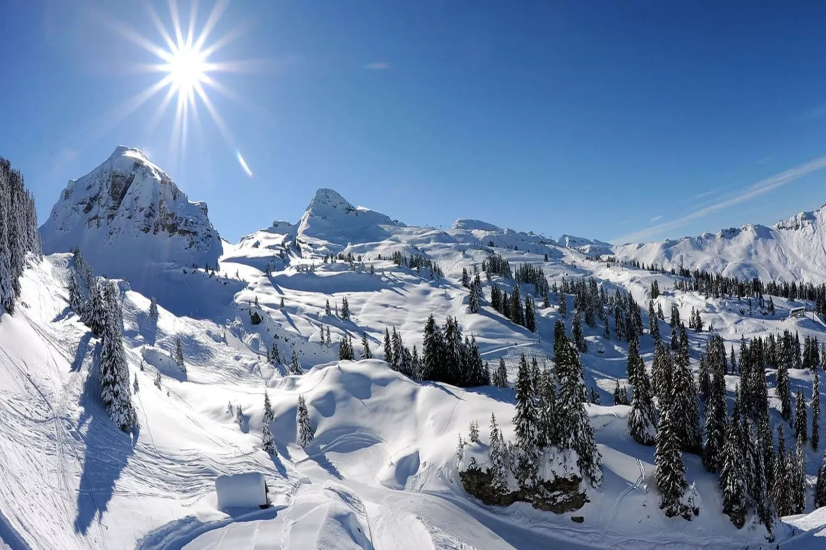 Résidence Sabaudia-Area within 5km in winter