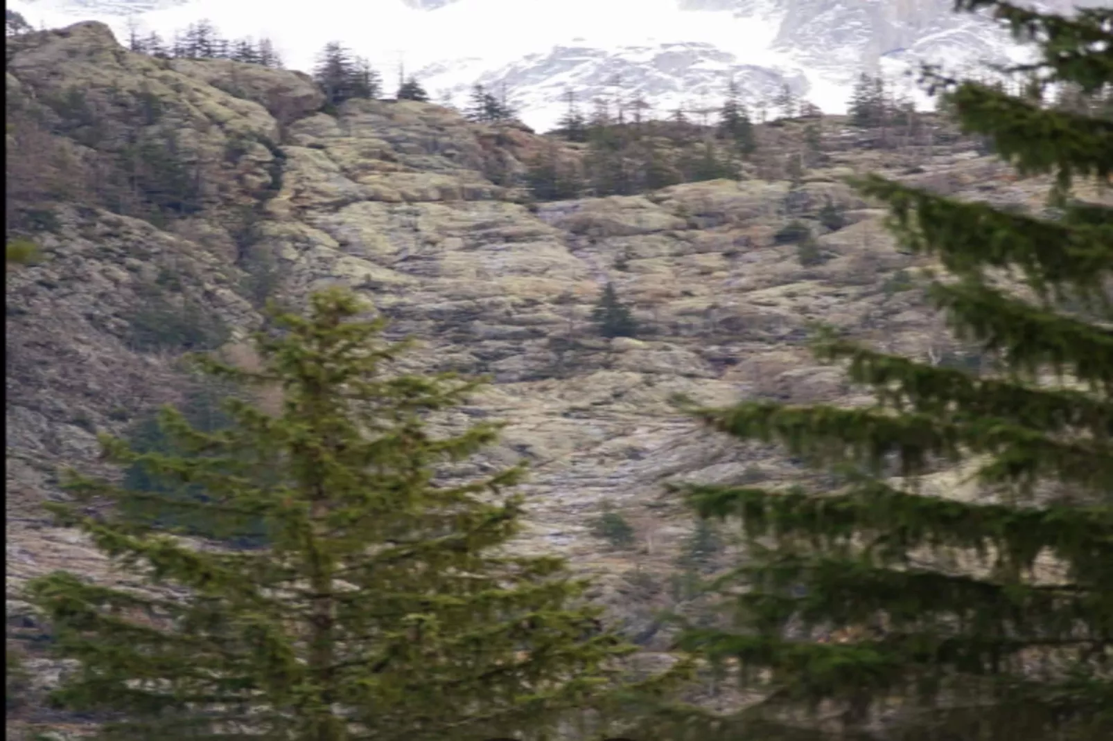 Résidence Prestige Odalys Isatis****-Areas within 5km in summer