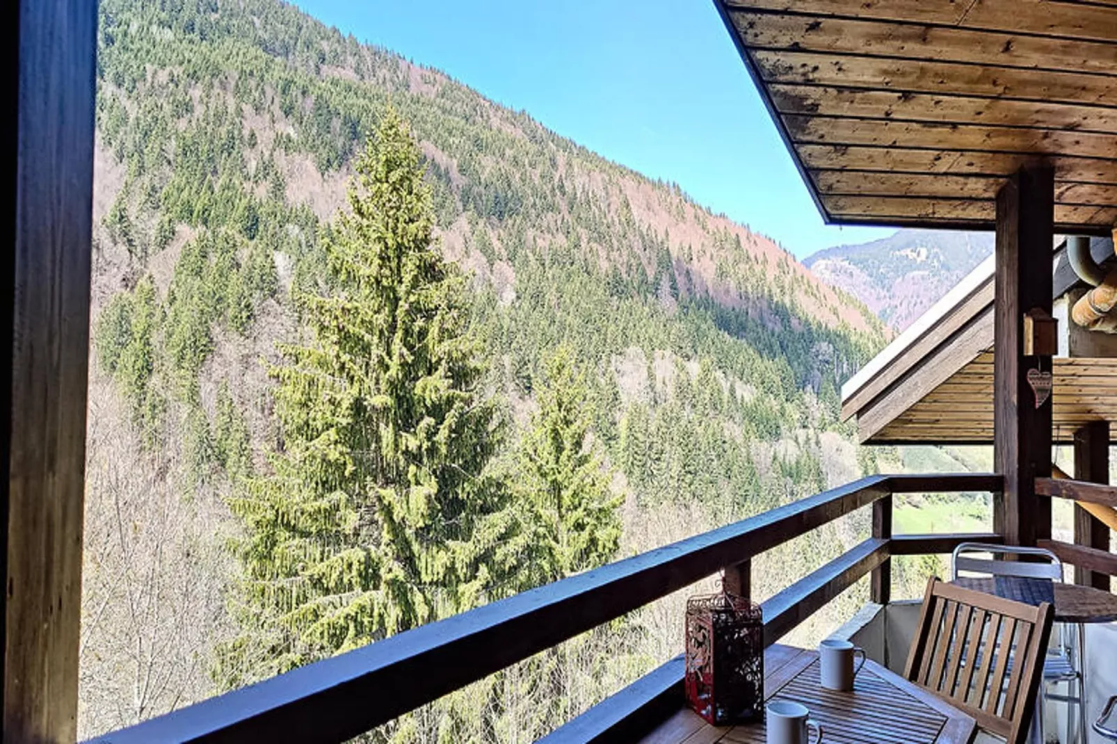 Appartements à Saint Jean d'Aulps-Terrace balcony