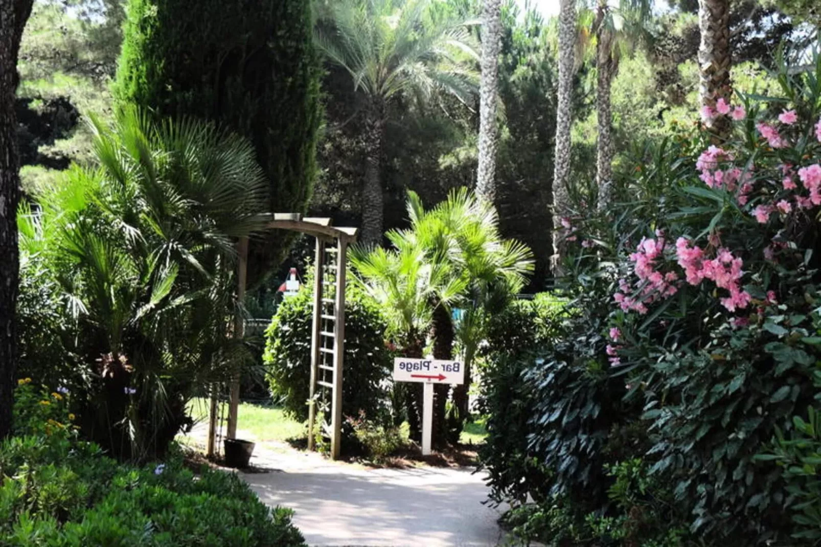 Résidence La Pinède - maeva Home-Extérieur été