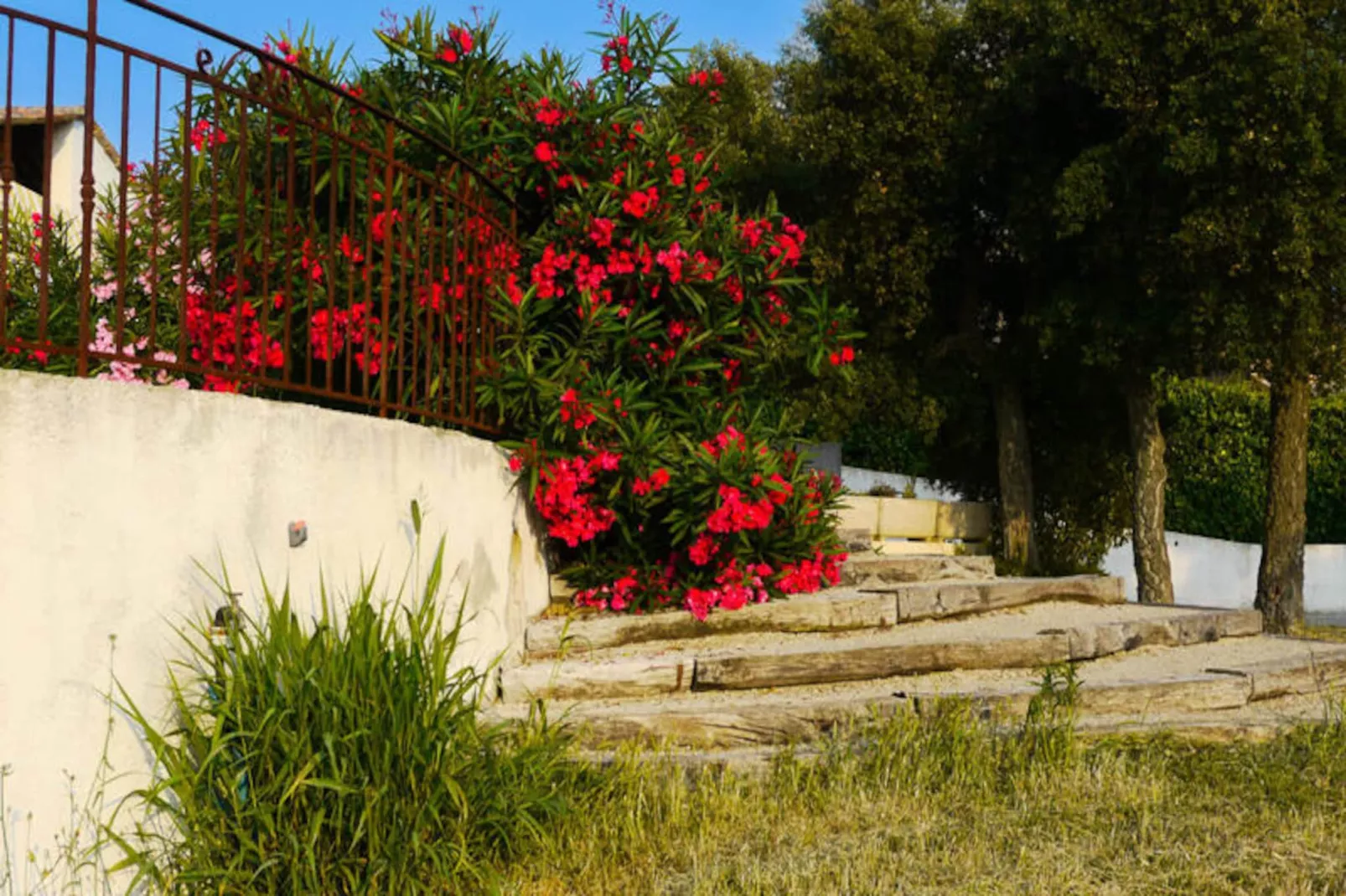 Villa De Campagne - 8 Pers - Vue Sur Les Mimosas-Image-tags.