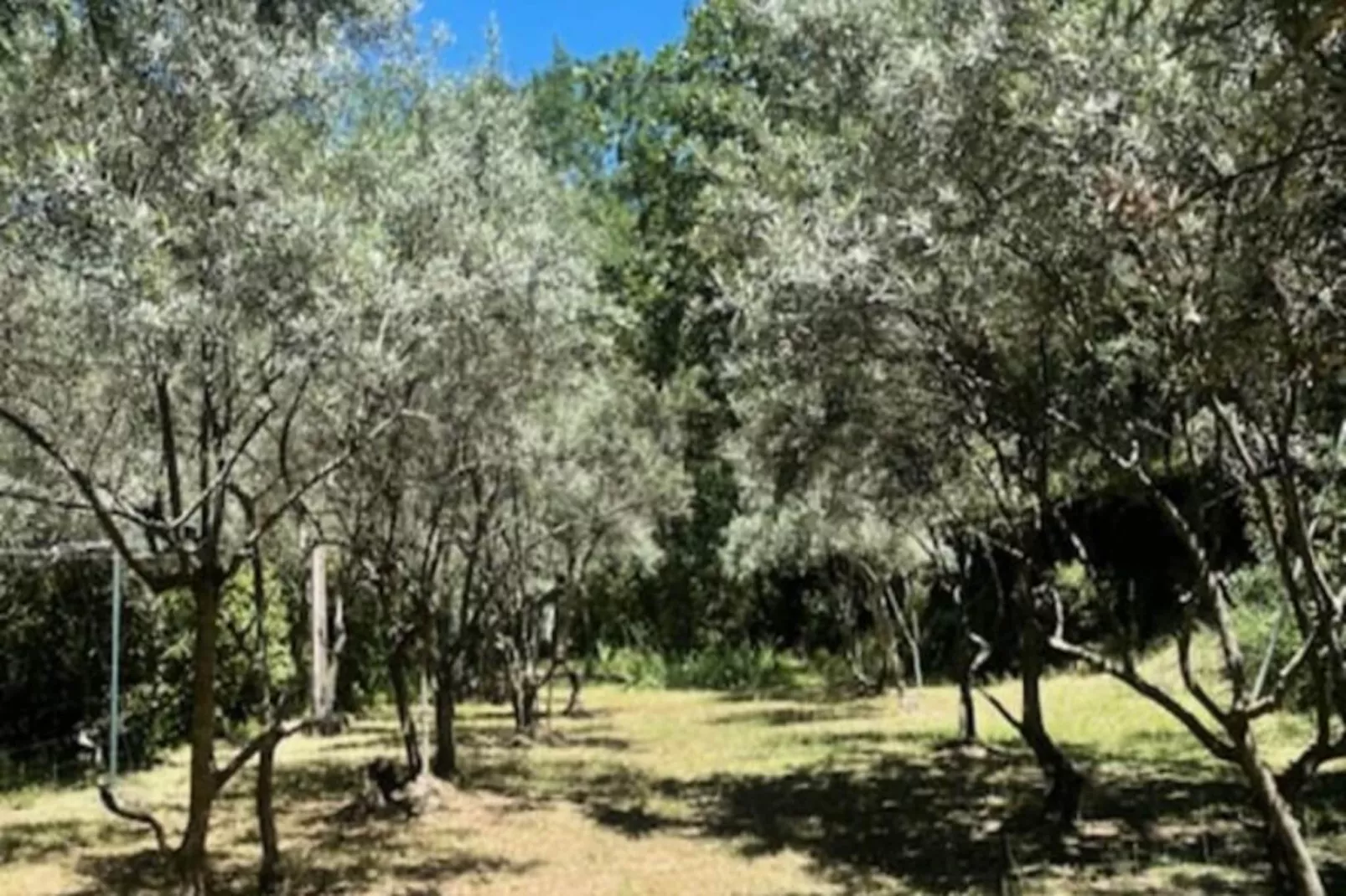 Propri&eacute;t&eacute; D'exception Au Coeur Du Luberon-Image-tags.