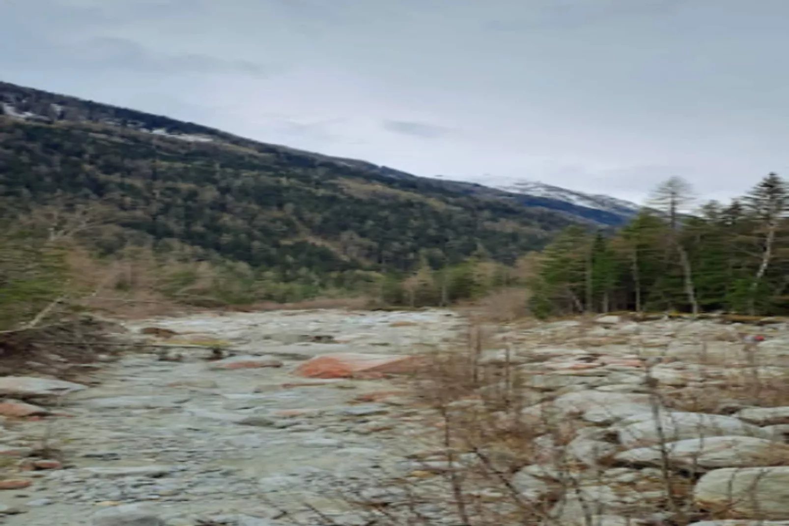 Résidence Prestige Odalys Isatis****-Areas within 5km in summer