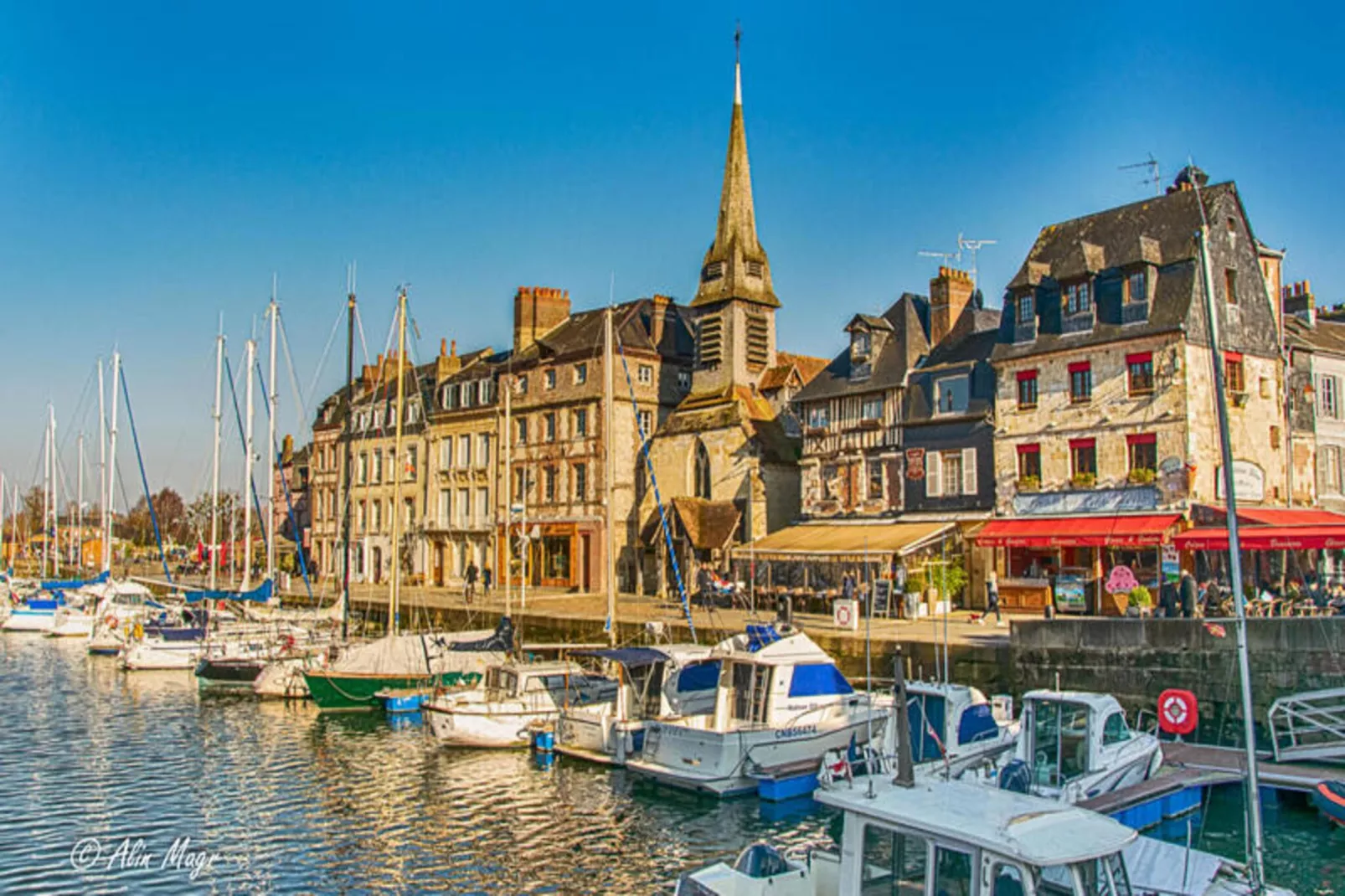 🐦 La Hulotte - Domaine D'apreval - Campagne-Image-tags.