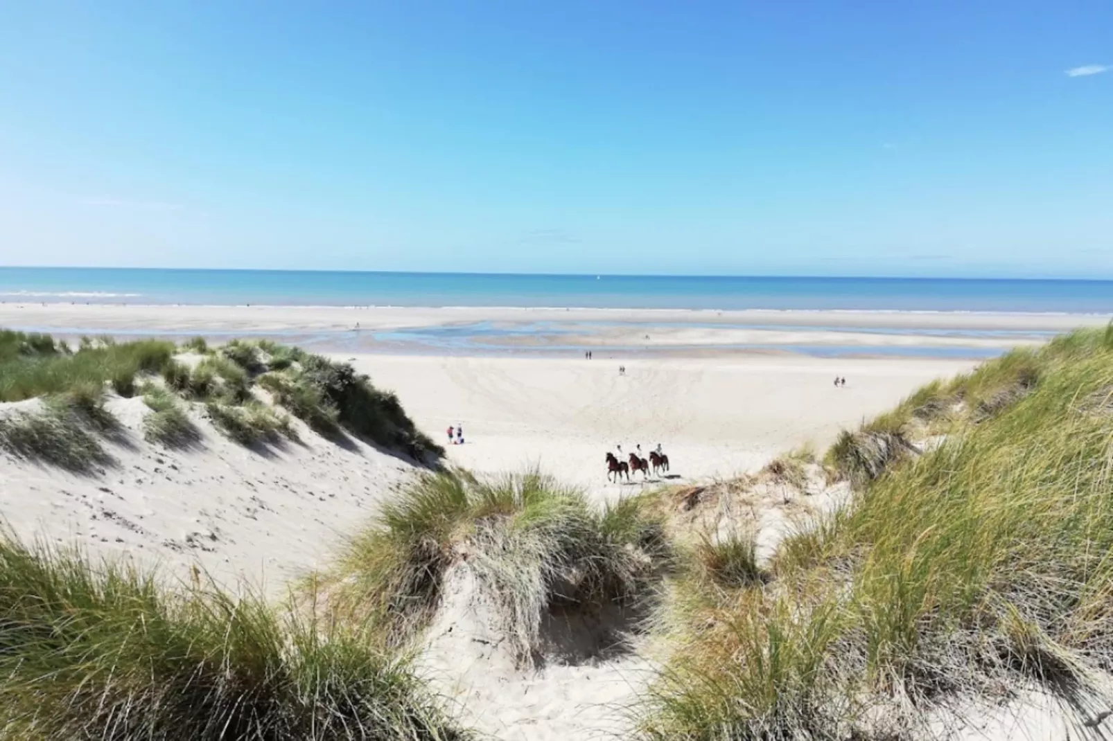 Résidence Appartement Pour 4 Pers Avec Piscine, Tennis Et  Parking 56-Areas within 5km in summer