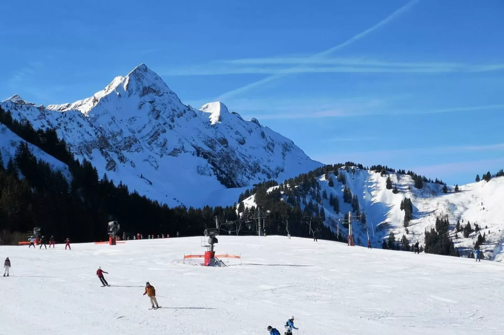 Appartements à Montriond-Area within 20km in winter